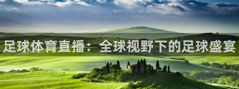 足球体育直播：全球视野下的足球盛宴