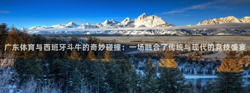广东体育与西班牙斗牛的奇妙碰撞：一场融合了传统与现代的竞技盛宴