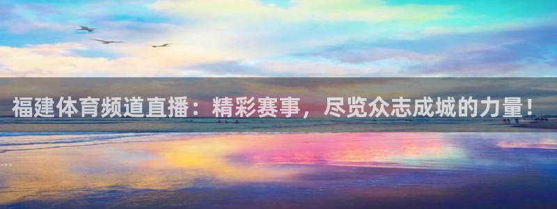 福建体育频道直播：精彩赛事，尽览众志成城的力量！